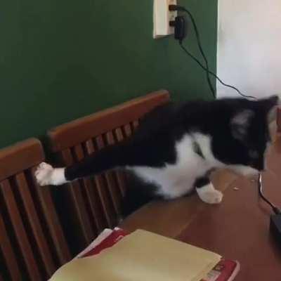 You cannot escape the void