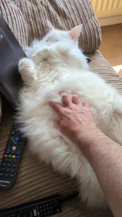 How much do you want to do this?