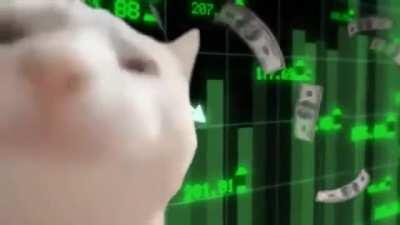 Let’s go peeps 🚀🚀🚀