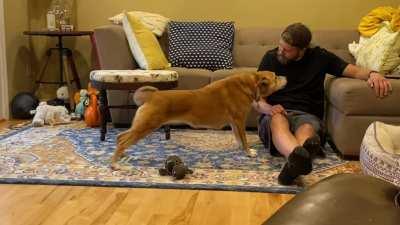 I’m not allowed to touch her toys