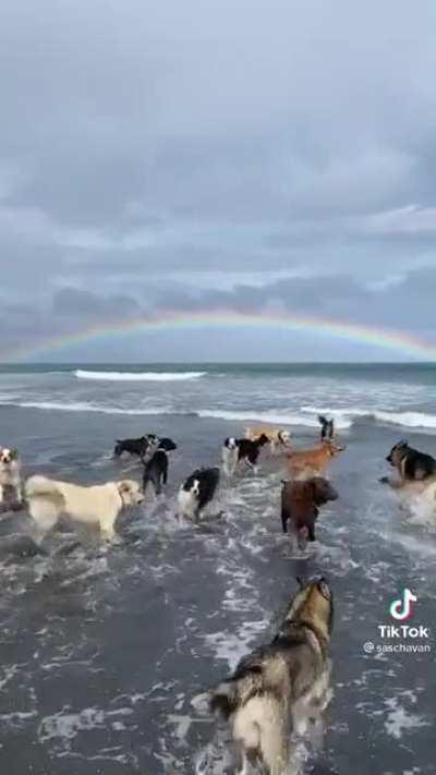 This is how heaven looks like for me