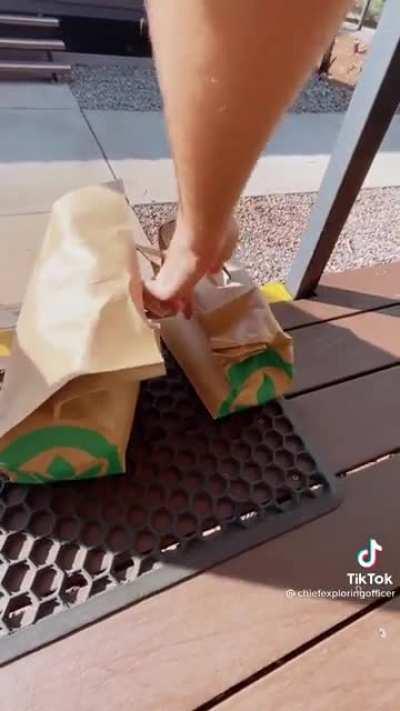 (Concentration Camps)