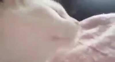 All i know is this is pop music i think? I dont really know music genres that well and the singer is female (i think) lyrics are na nananana nananananana