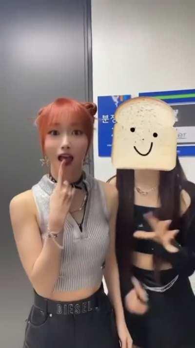 [230223] Yujin & Youngeun TikTok update: 🍞 Meow, behind the scene #YoungJin