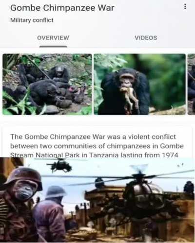 The monkeys getting drafted :(