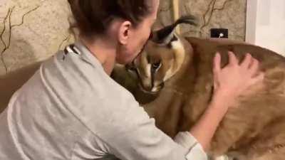 SNAP BACK TO REALITY