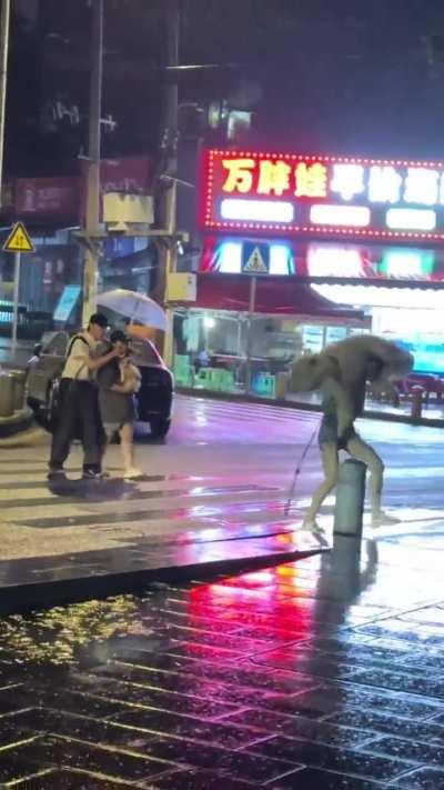 Two different umbrellas