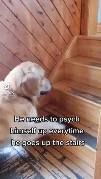 Motivation Processing.....