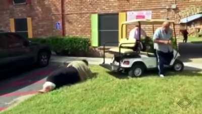 Rest in peace ant colony