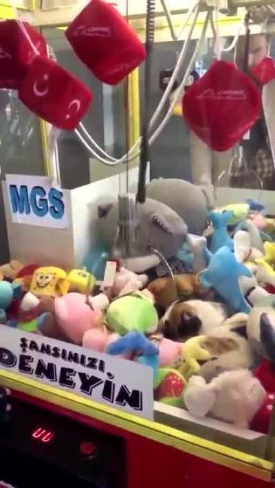 What are you doing there?