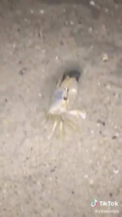 You came to the wrong house fool!