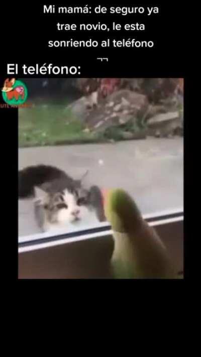 Voy a subir casi todos los videos que tenga haber si aparezco en un video xd