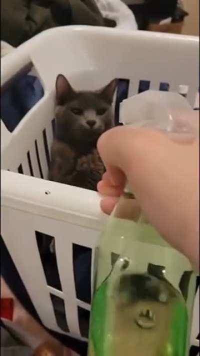 Calma moça, aponta isso pra lá