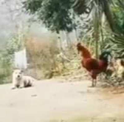 When you fall prey to the bad influences