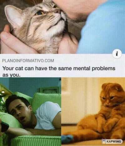 I'm sorry little one