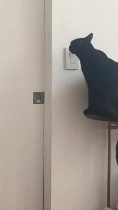 He’s not supposed to play with the light switch