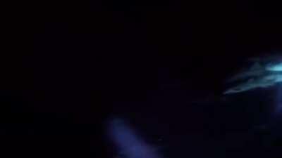 Welcome to the Circus, Maldives - night dive with a lot of sharks