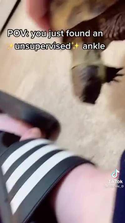 Halted inches away from the kill