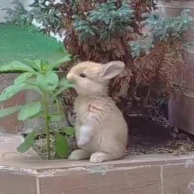 Nayeon chilling or something. I don't know