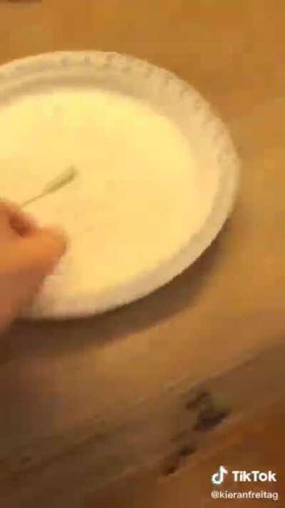 What should I do today?