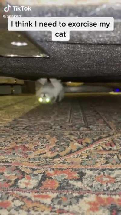 Oh lawd it’s under the bed