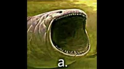 Piñera es Nicolás maduro