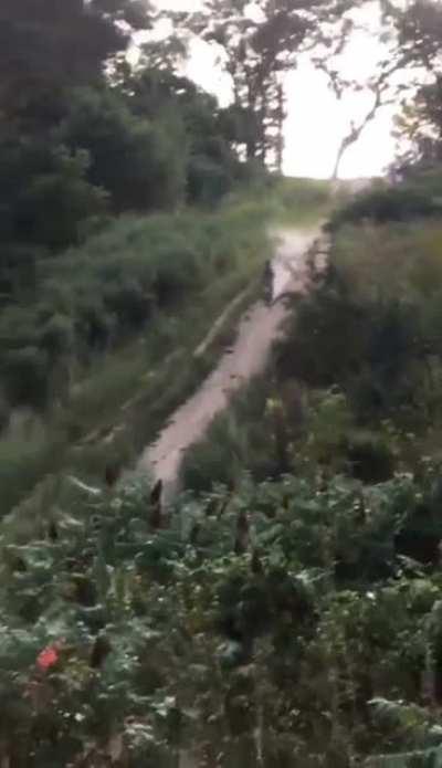 HMFT after I bomb this hill