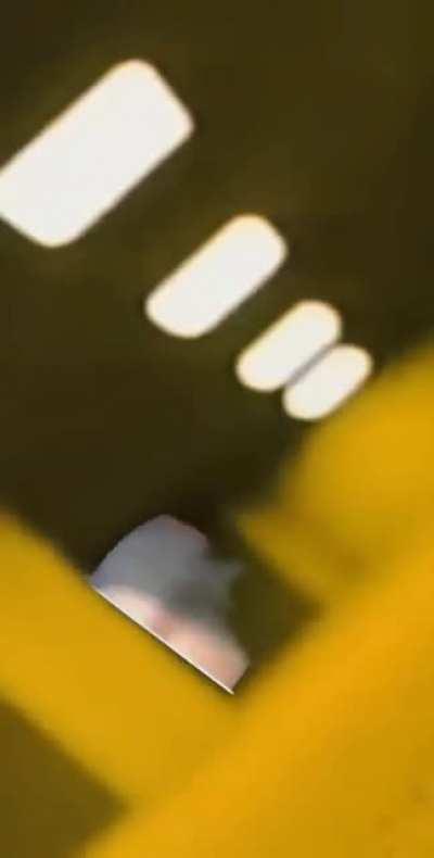 My brother made this, nothing else needs to be said.