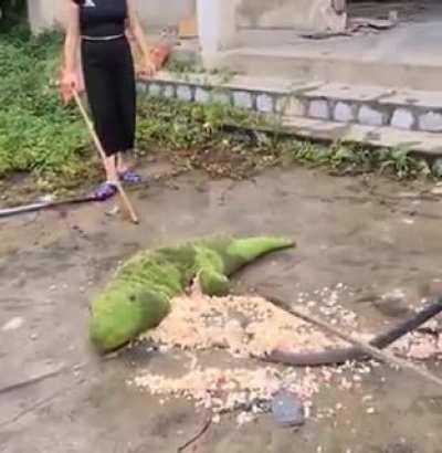 Imagine having to deal with this