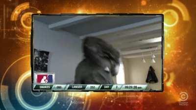 National Crystal Meth Hallucination League (Onion SportsDome)