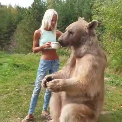 Покорми своего медведя