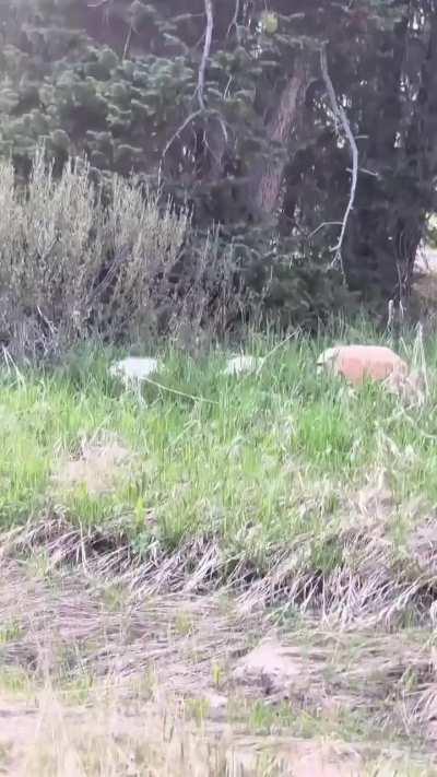 What a relief to be in the car