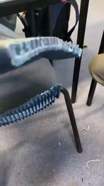 mf went goodnight and chair said buh bye