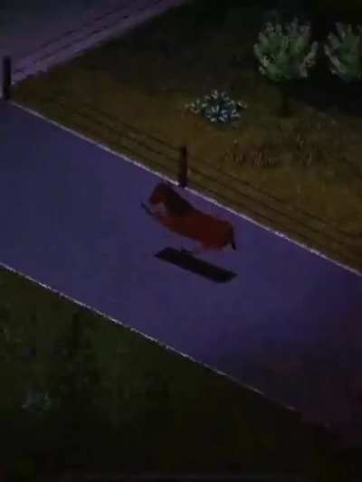 I'm mentally stable I'm mentally stable I'm mentally stable I'm 