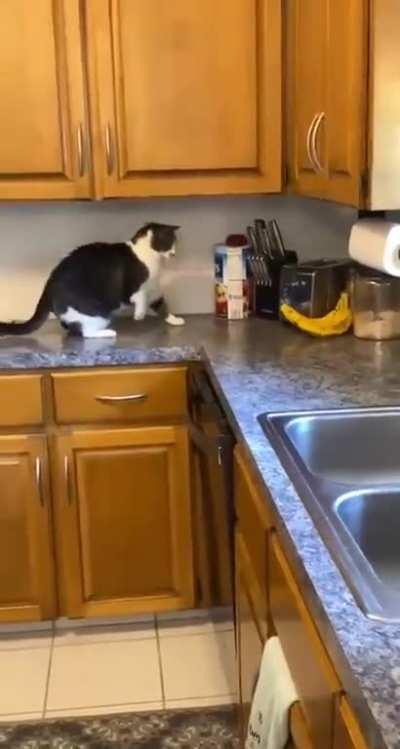 Greeble covered banana