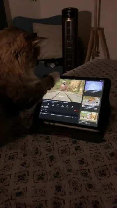 Taika doesn't need fingers to browse Youtube