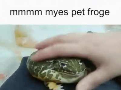 gib frog man flair. now.