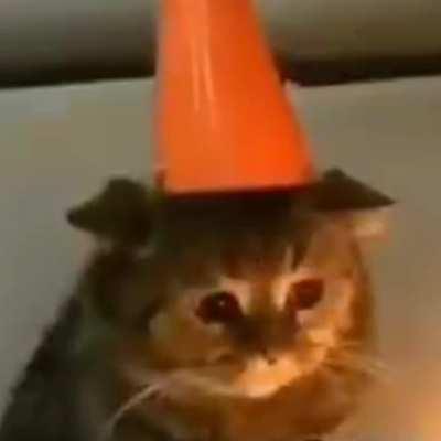 Mi abuela me dijo que no va hacer eterna