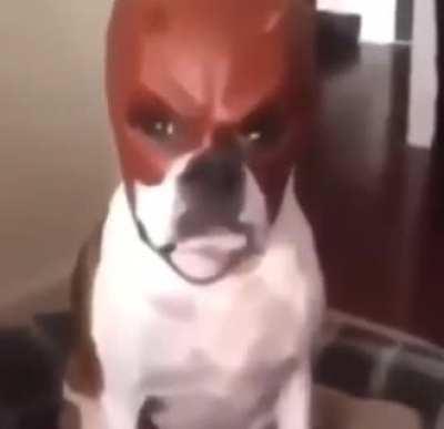 Word How you felt after saying that