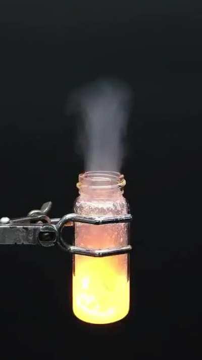 Gummy bear dies in the worst way possible