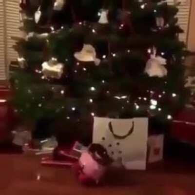 A nada para la navidad! Mery crima 🥳🎅