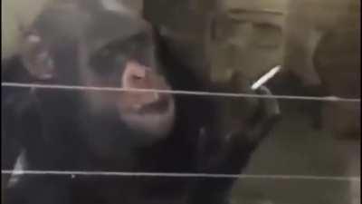 É você Mu? qui? nha?