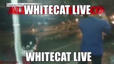 PLAY TSUKINAMI PLEASE POGCHAMP