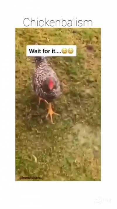 Chickenbalism