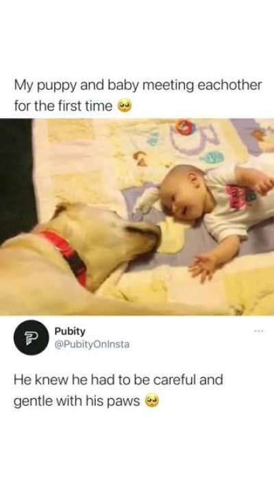 The best kind of friendship