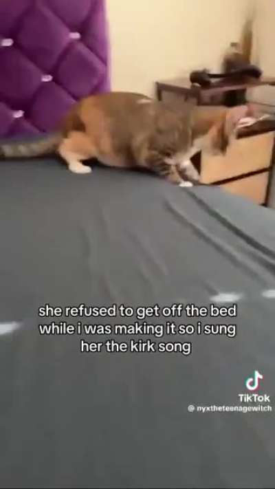 Cat: mogged🧏 Charlie Kirk song: rocked💀☠️🍷🗿