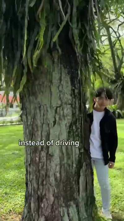 LTA posted this video on it's Twitter account.