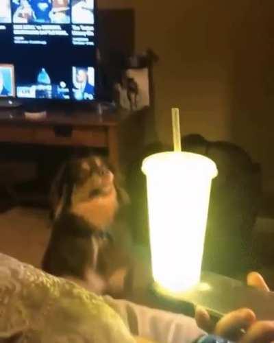 You seeing this shit?