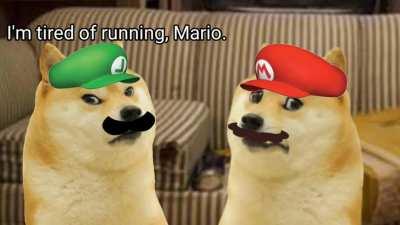 Pasta La Vista, Doge