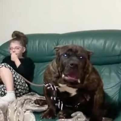 Cupcake, he don't bite, He devour your soul 